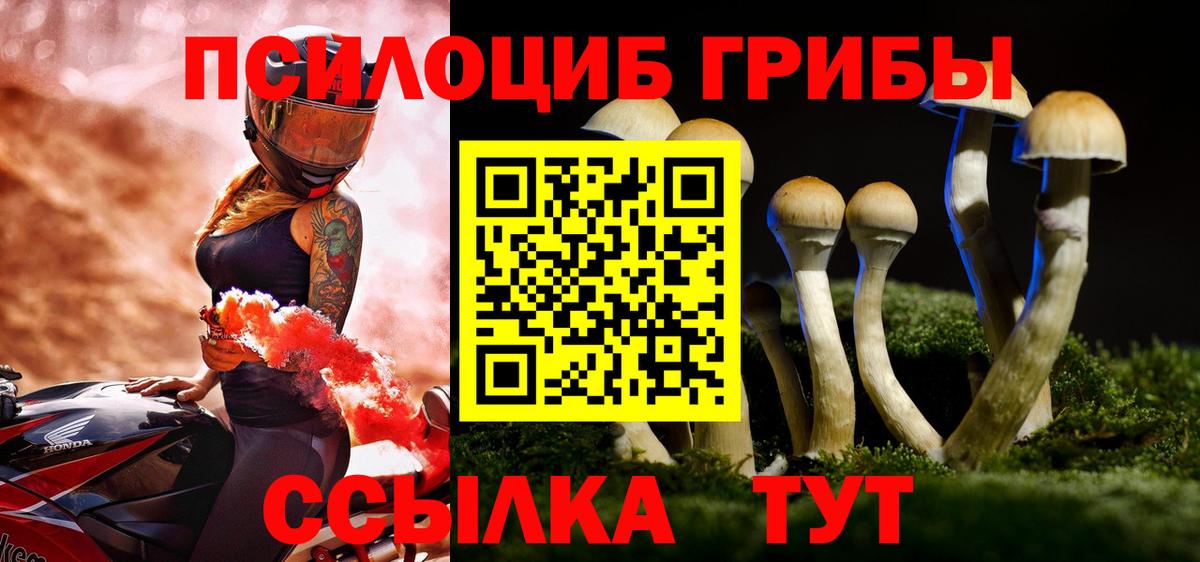 Галлюциногенные грибы Cubensis Магнитогорск