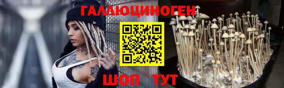 Магнитогорск  Галлюциногенные грибы MAGIC MUSHROOMS  Вход с VPN 